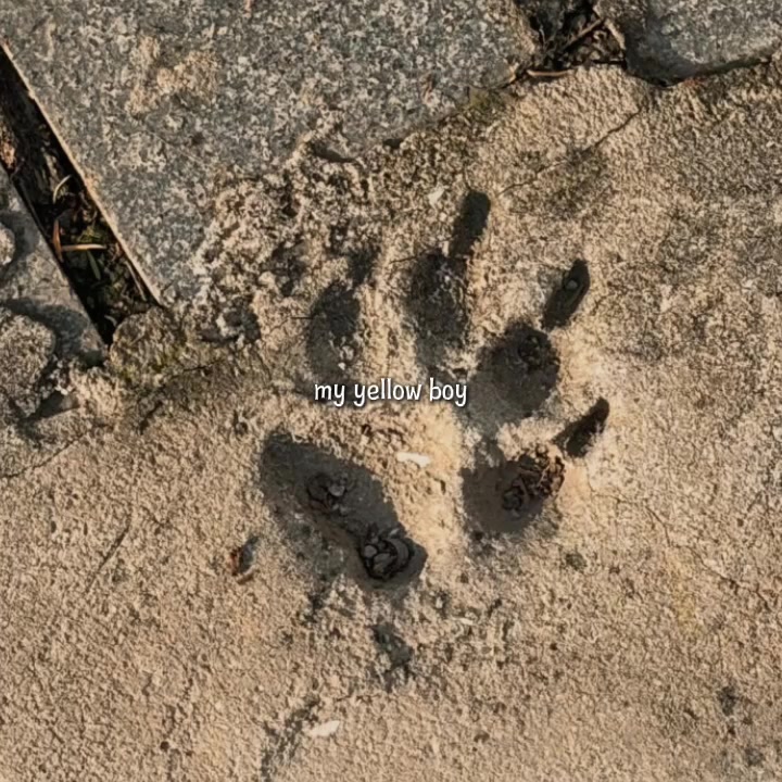 @𝙍𝙅_𝙗𝙗𝙮