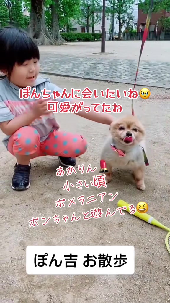 @デコトラけんチャンネル 【YouTube公式】