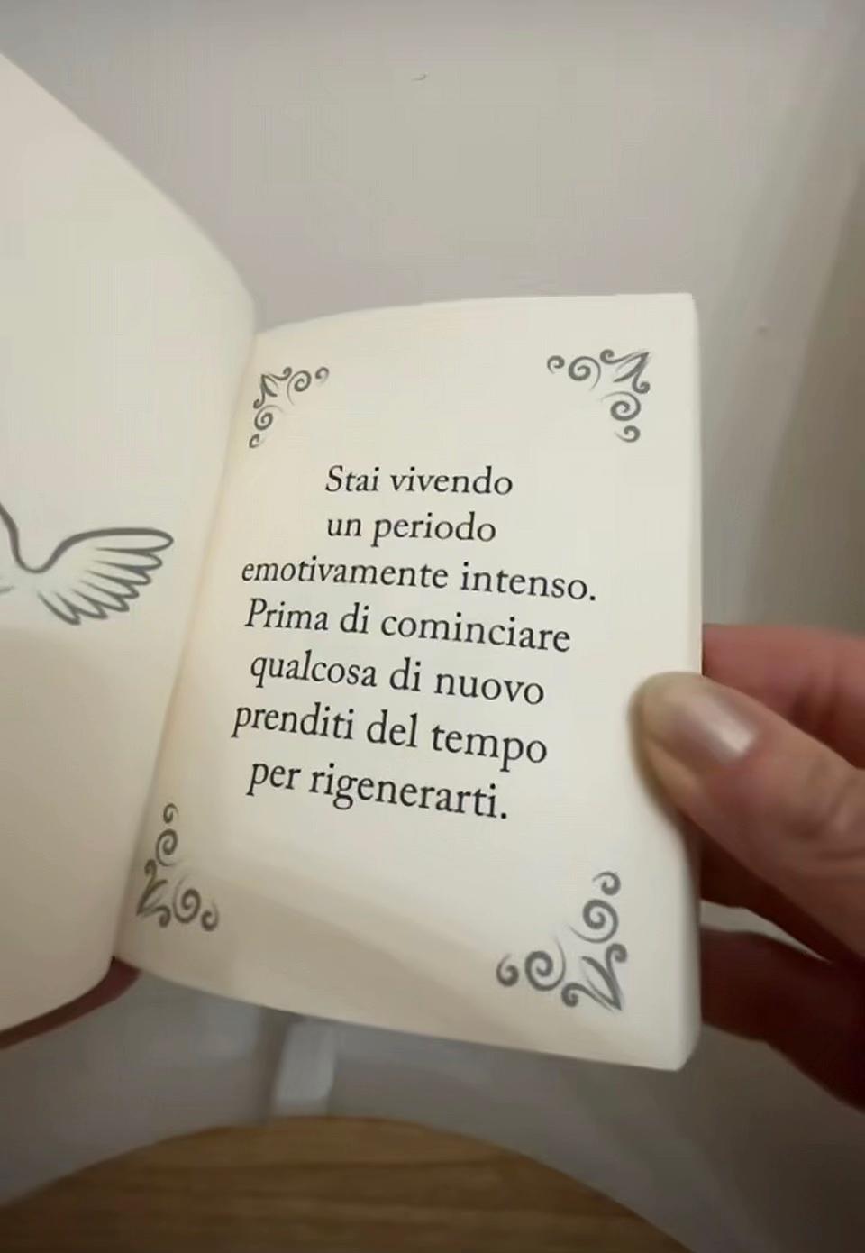@🎀Deborah Grieco🎀