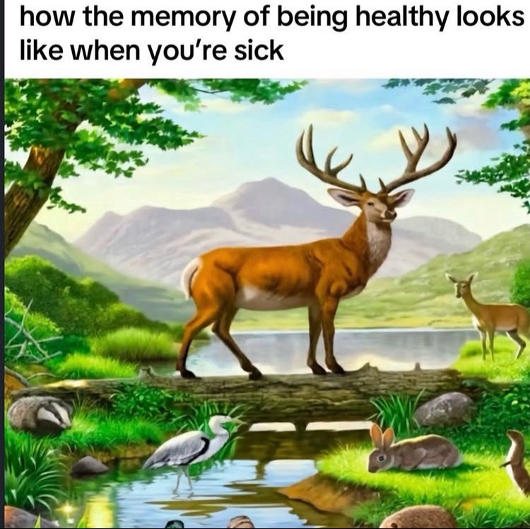 @prodthatboigo
