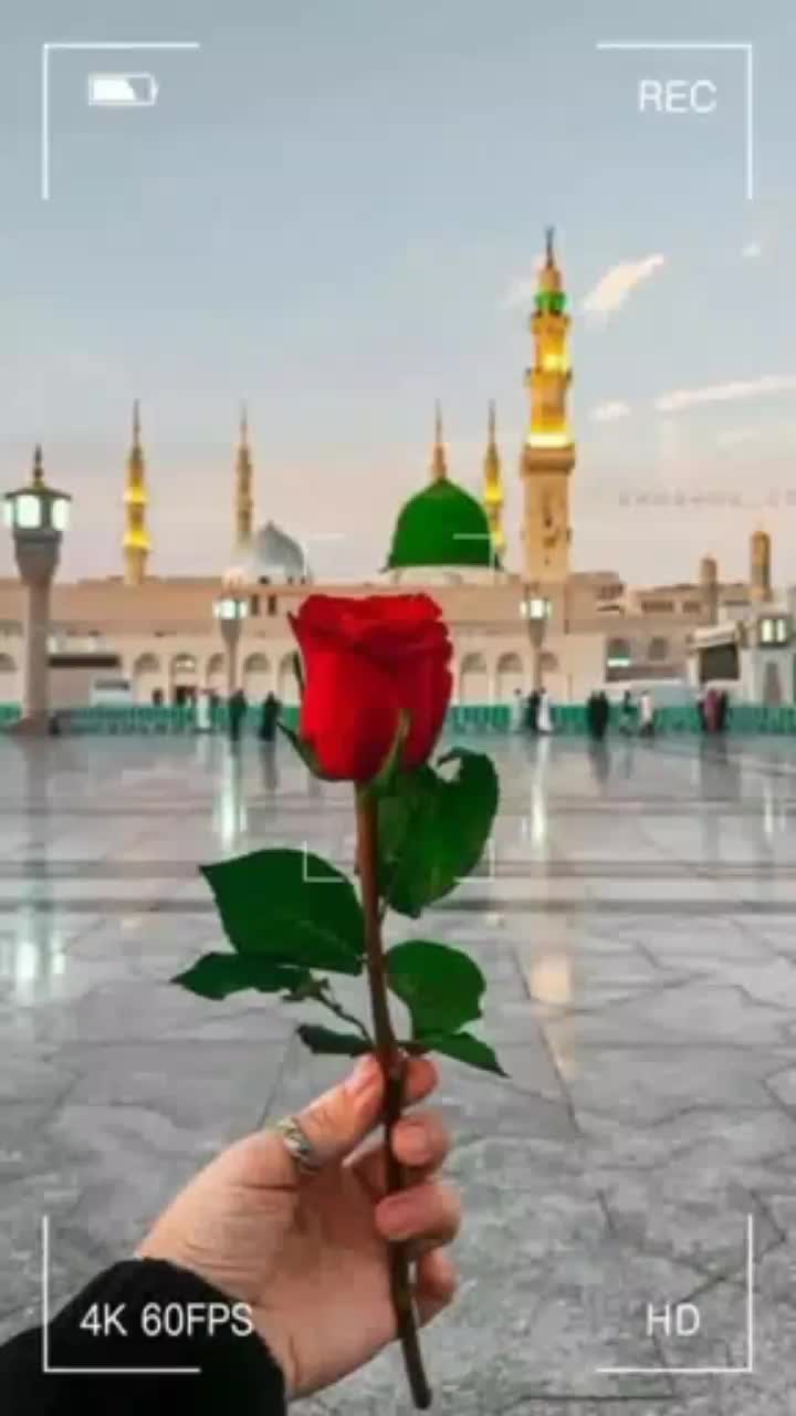 @Asif Asif bussines