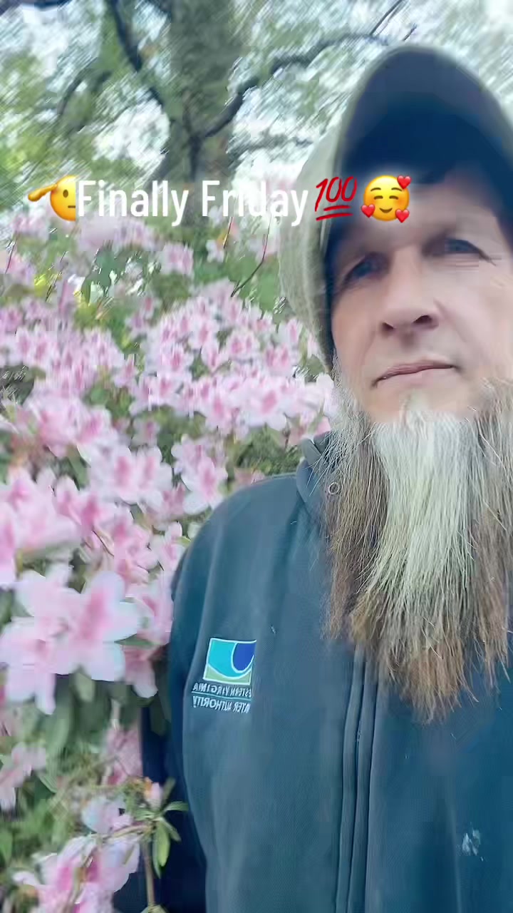 @DanielOrfield