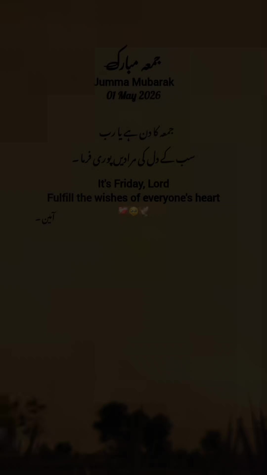 @RAJA KAMRAN RAJA