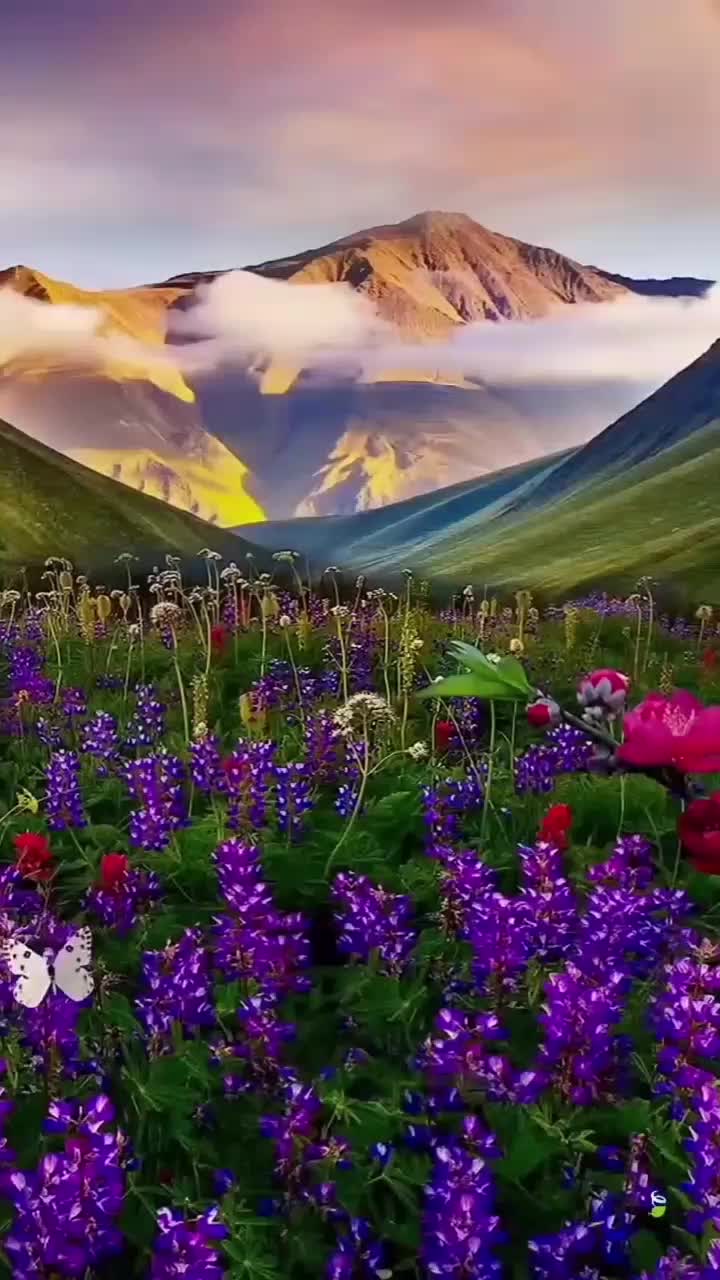 @valentinabadan5
