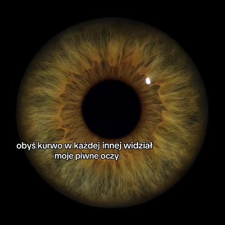 @𝓔𝓵𝓲𝔃𝓪