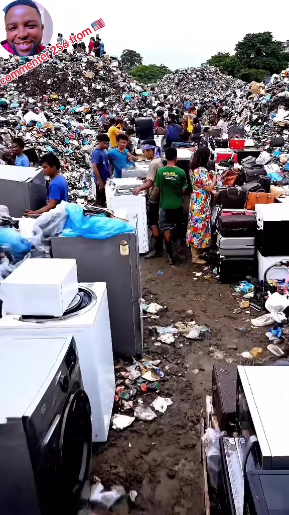 @commenter 256