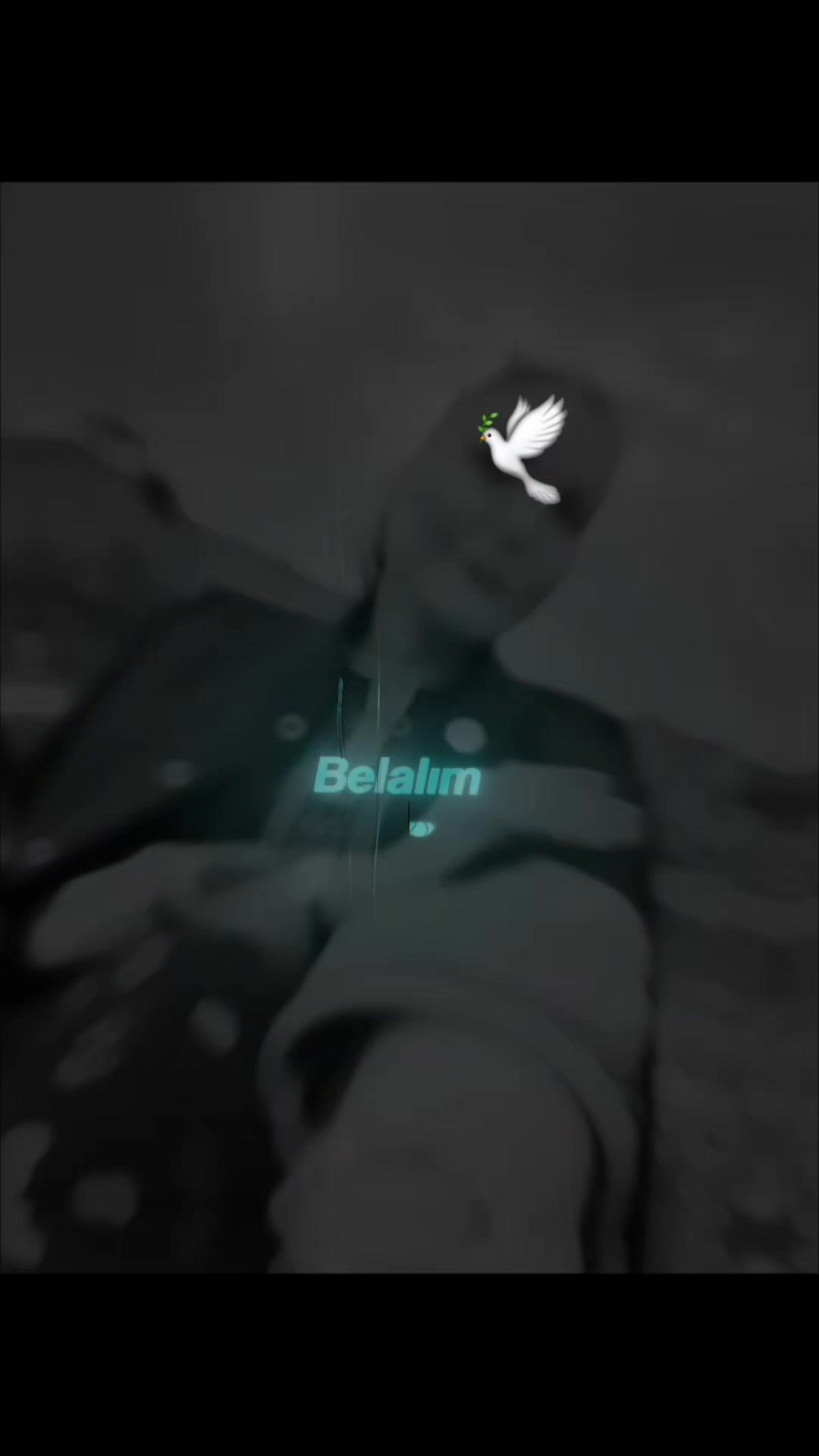 @🕊.