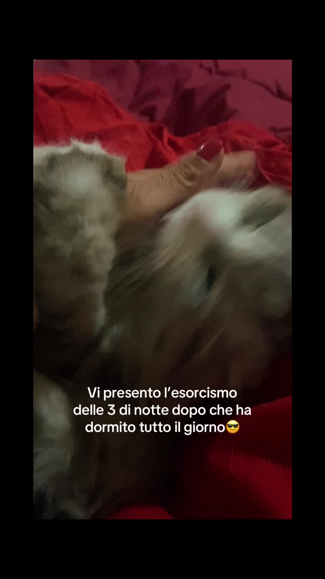 @🌹𝑨𝒍𝒃𝒂.