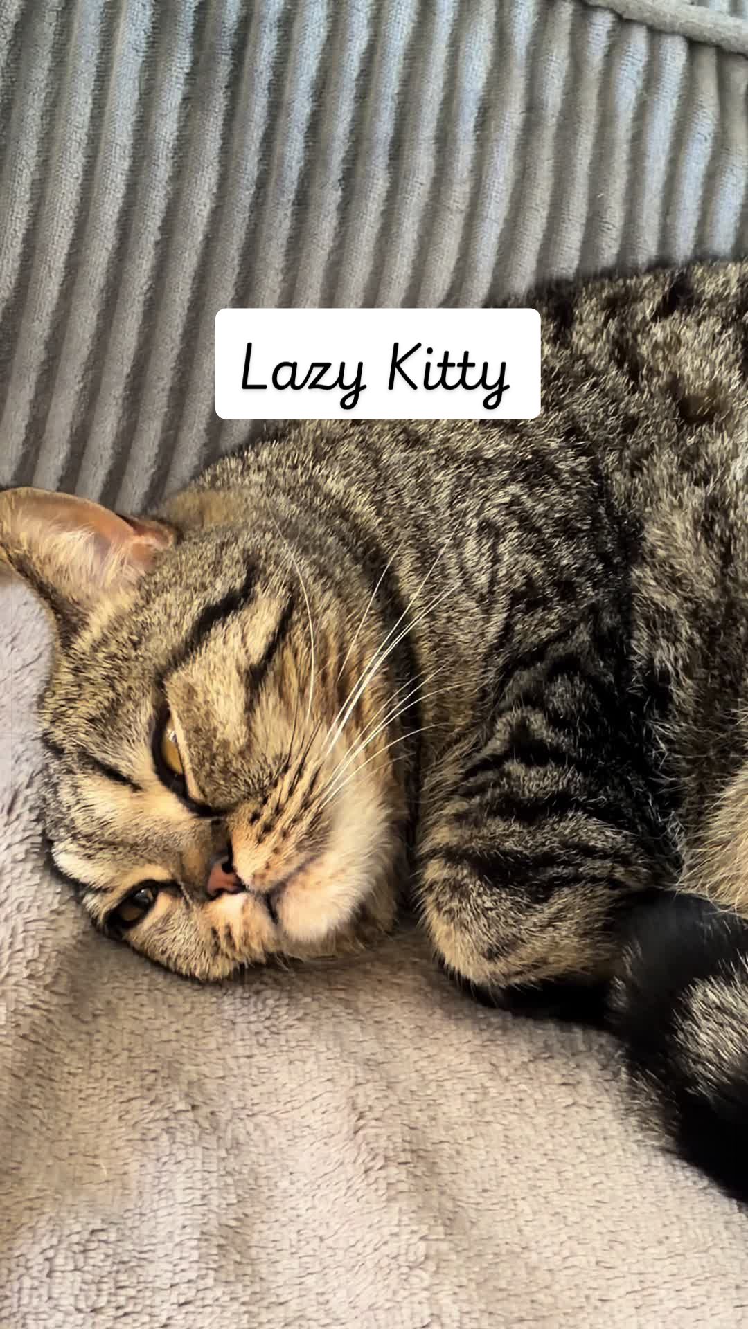 @Sonja_Kitty-Cat