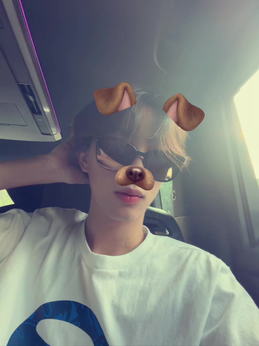 @x4vierr