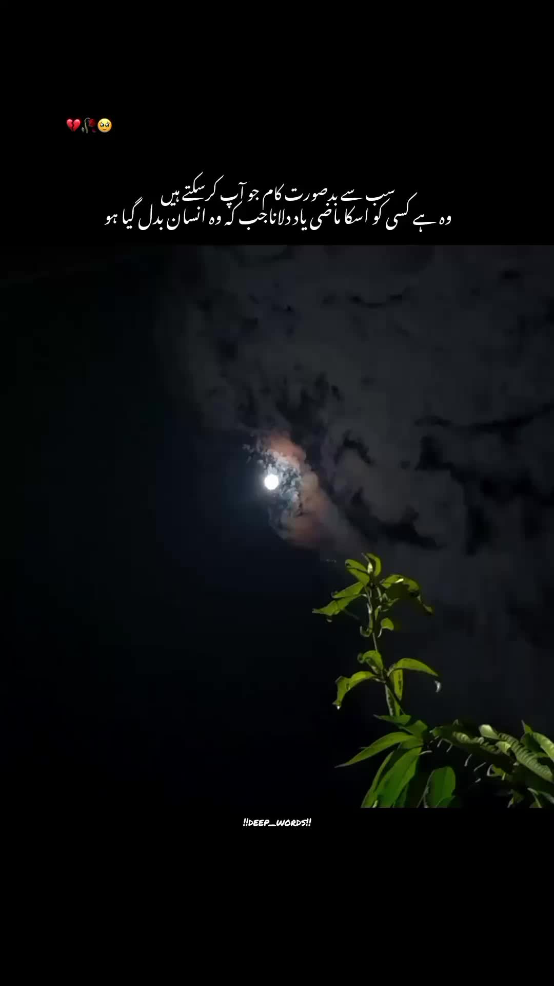 @!!deep_words!!