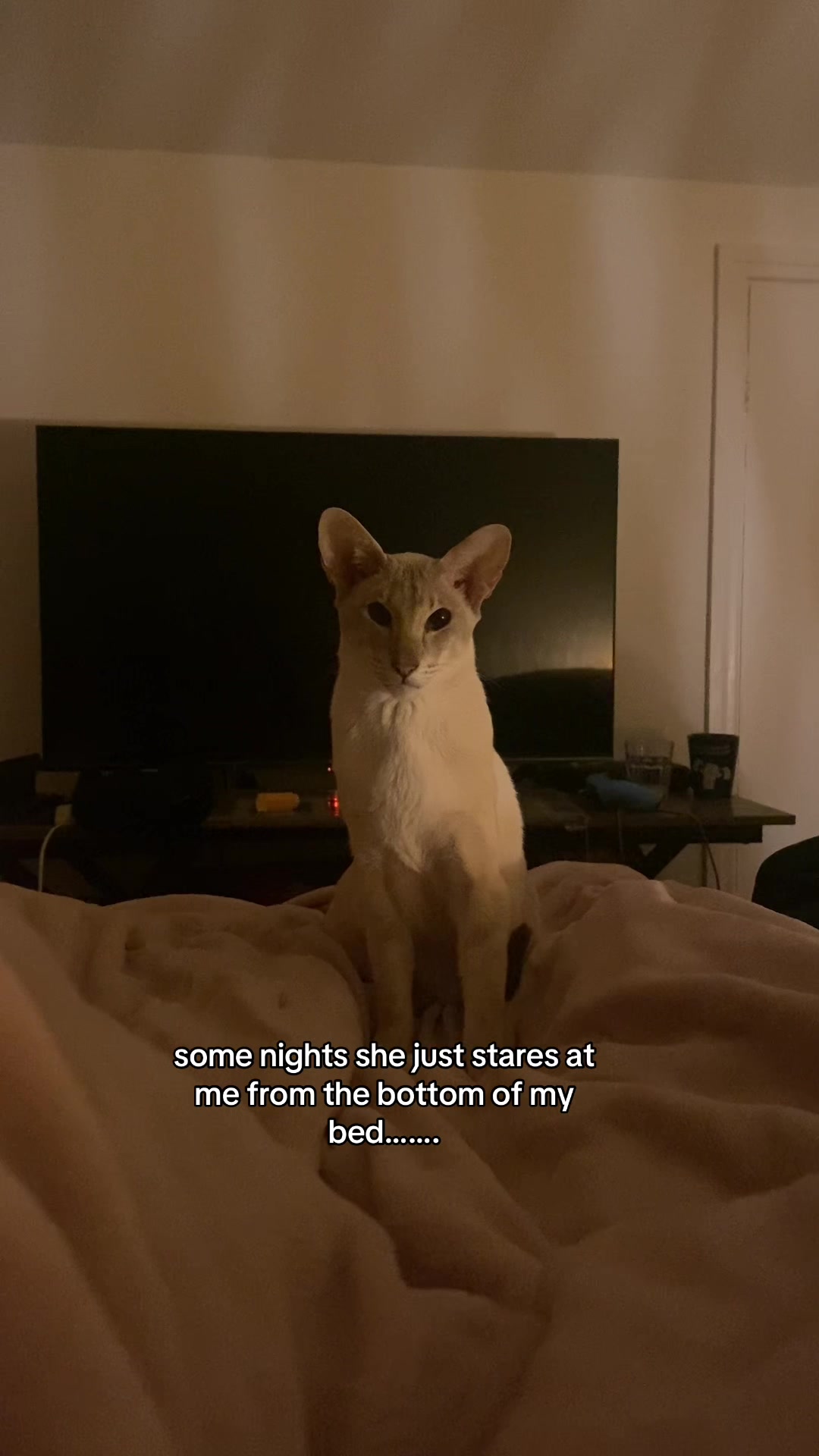 @ivy.alien