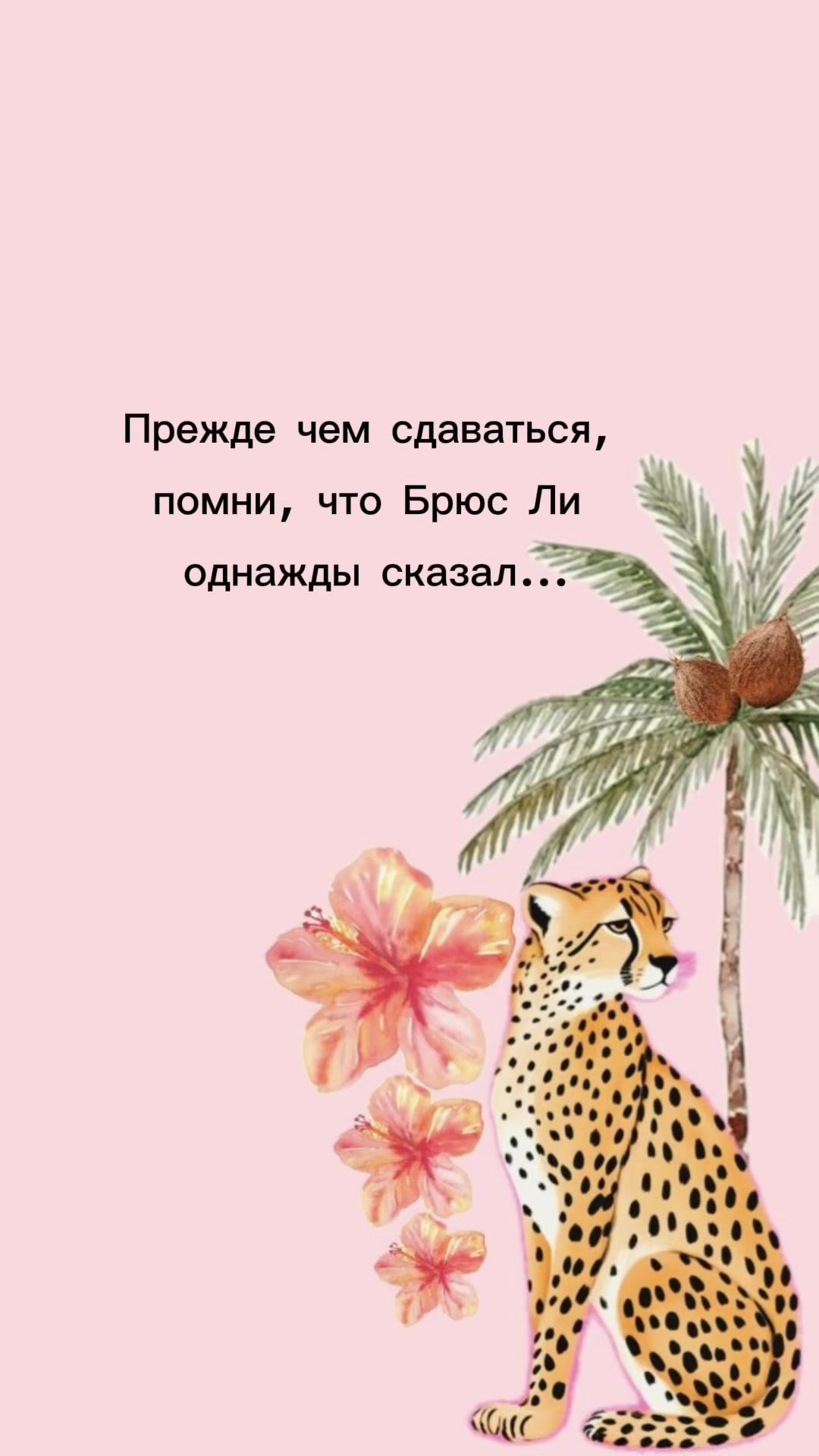 @Shumarskaya