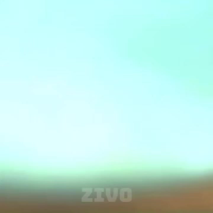 @𝙕𝙄𝙑𝙊