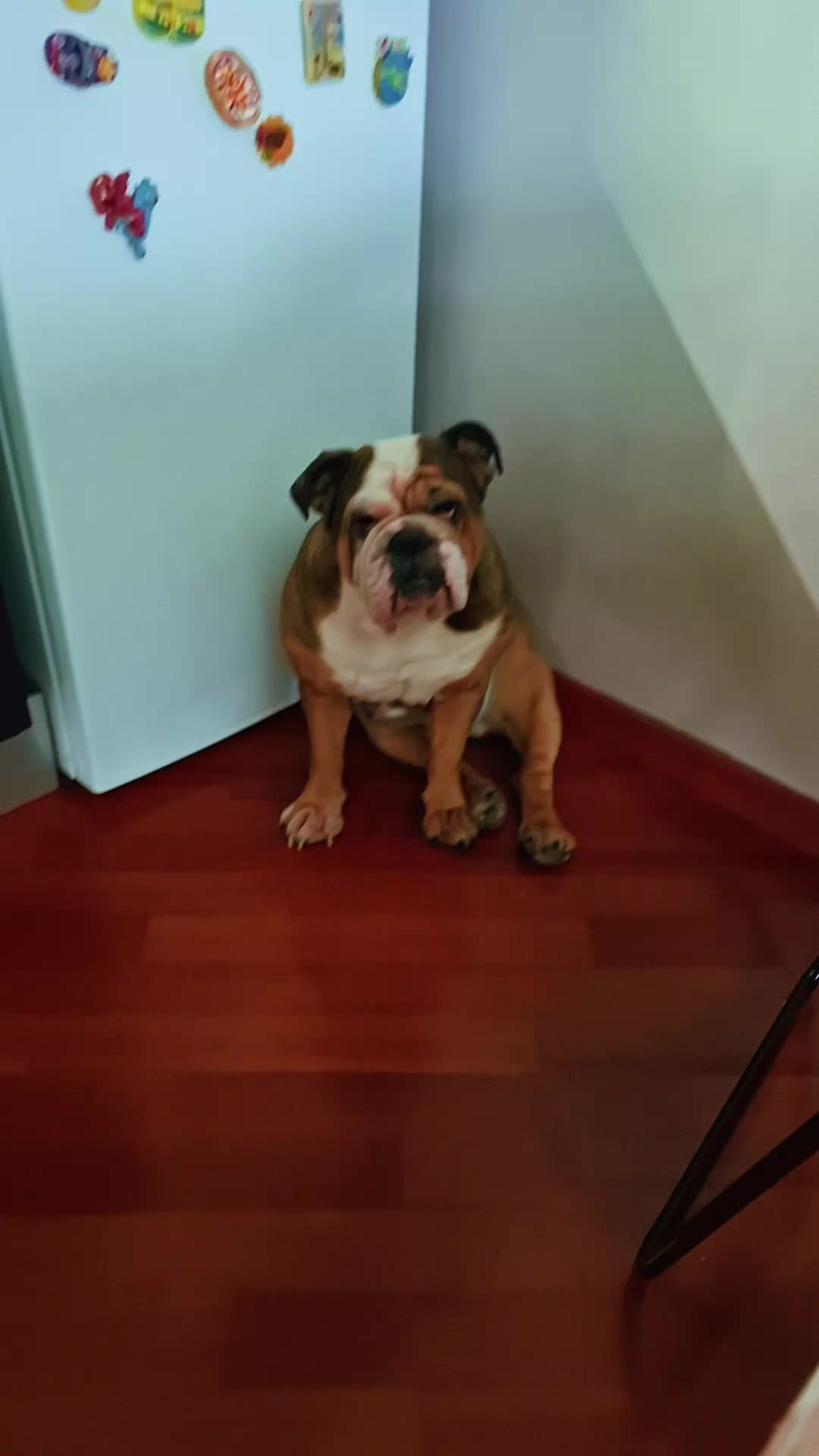 @Cri🐾M❤️rghy🐾labulla❤️