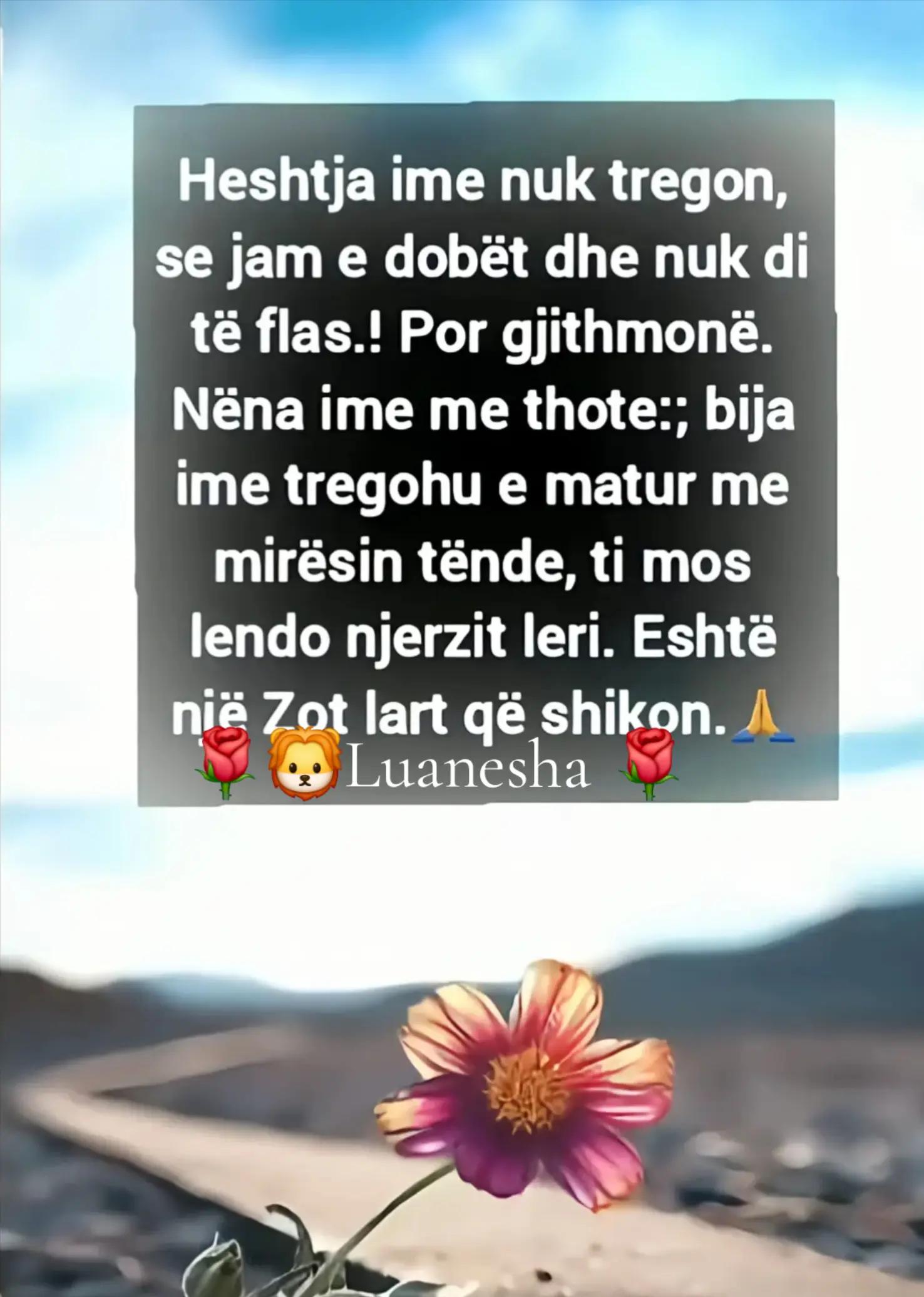 @🌹🦁LuaneshA🌹