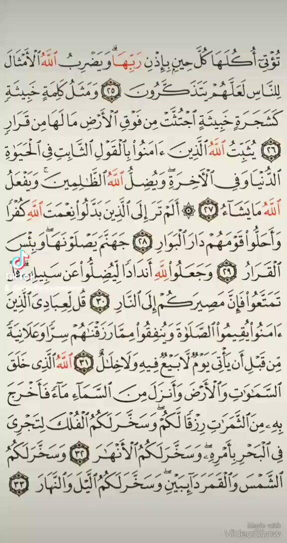 @القارئ الشيخ محمد مصطفى شلاطة