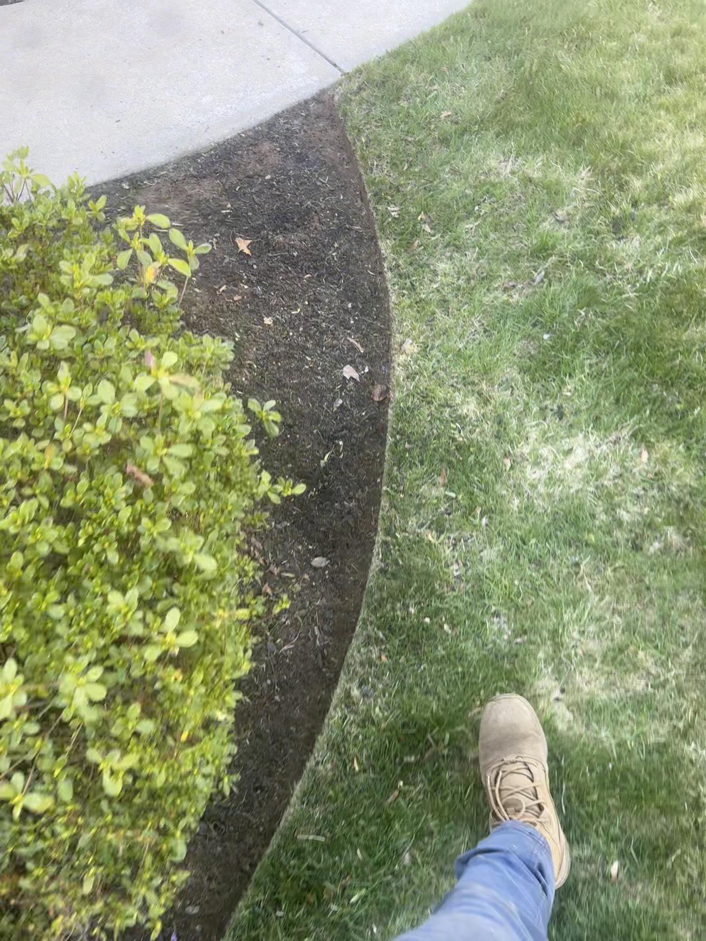 @Prestige landscaping ☘️🍃