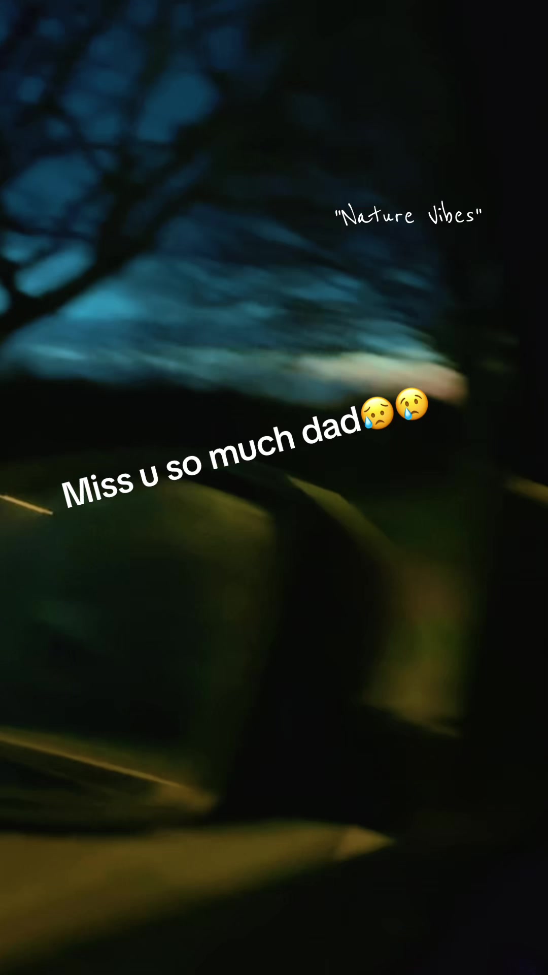 @Sneha Sanu