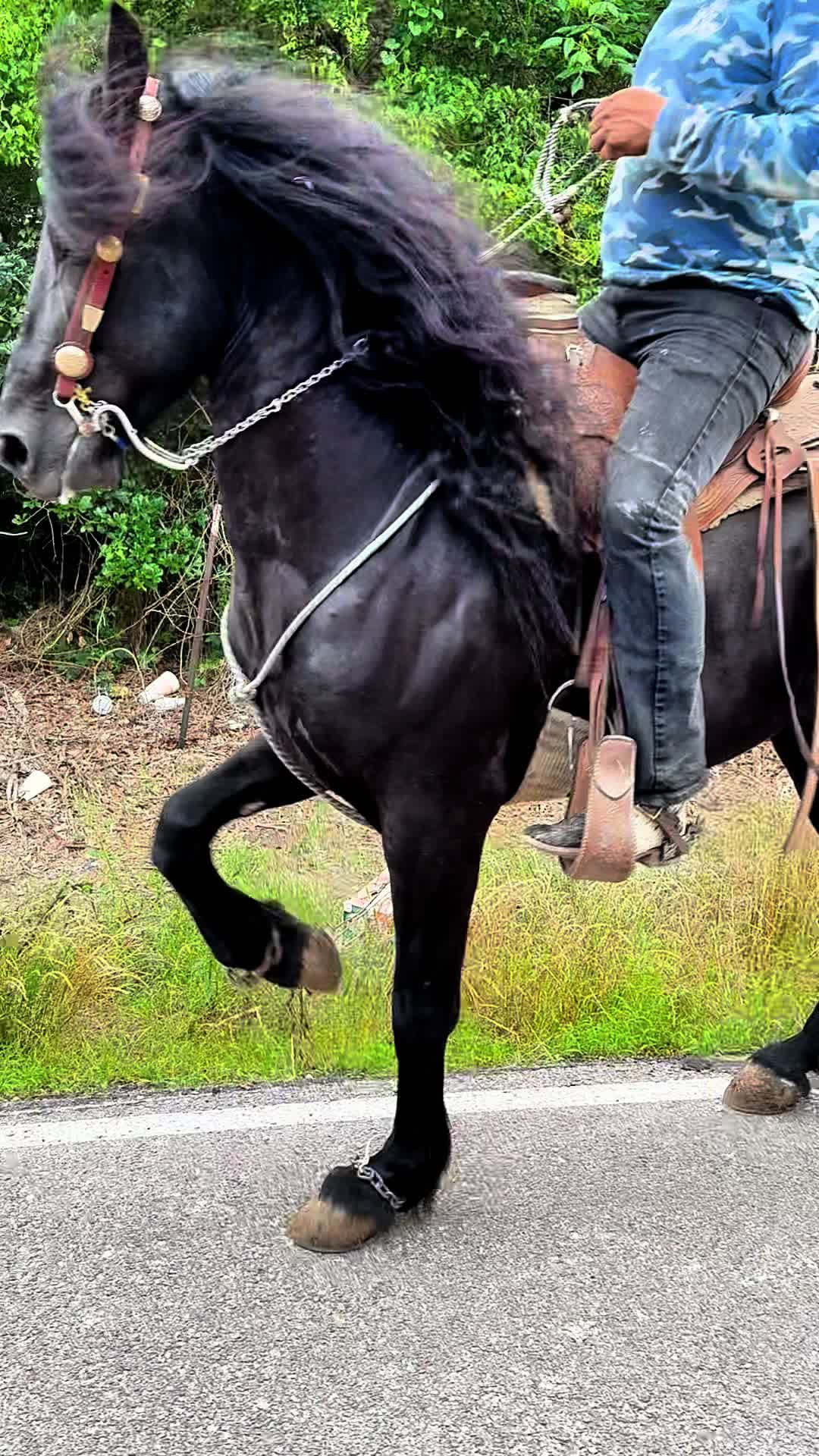 @israelsobalvarro7