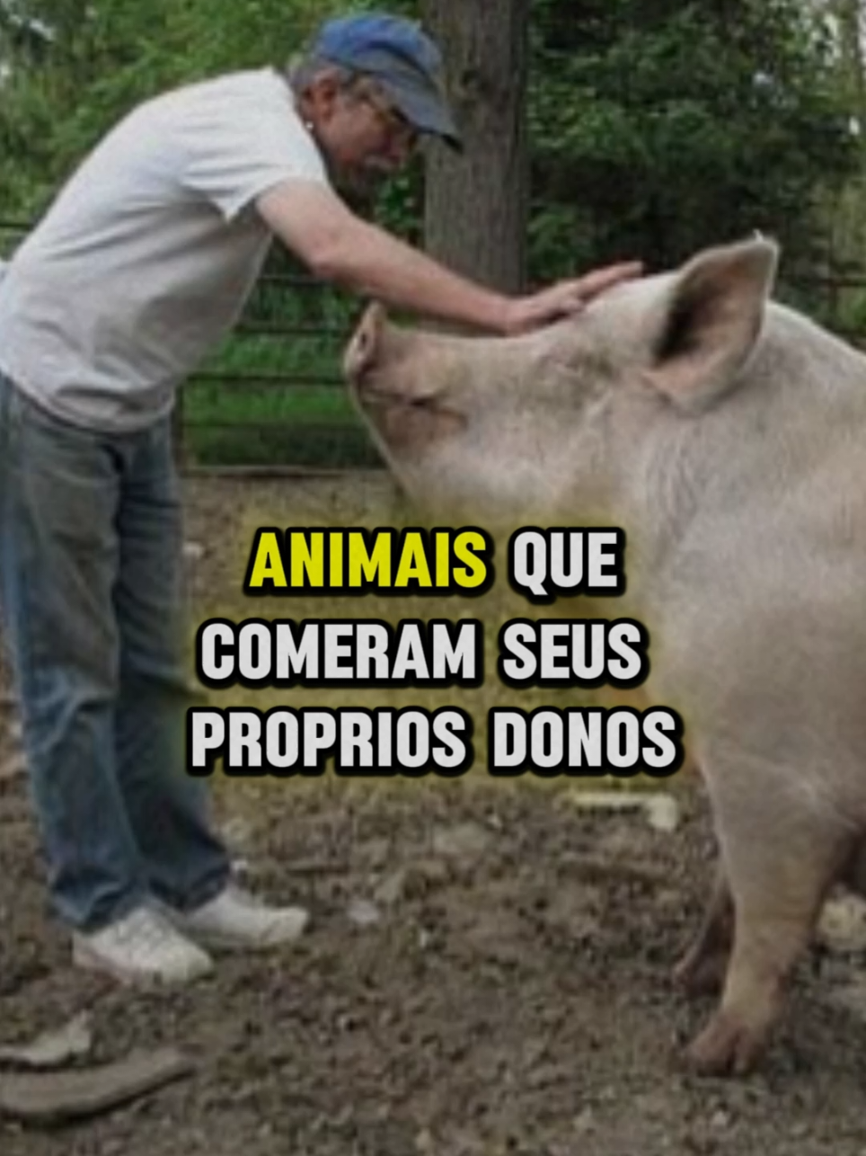 @Curiosidades &eacute; Mist&eacute;rio