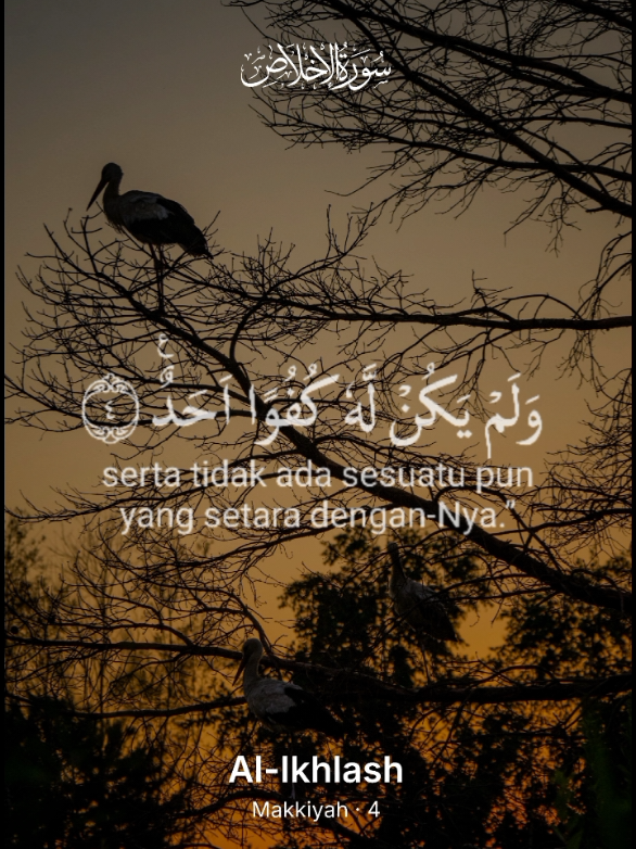 @Scorpio Berkah