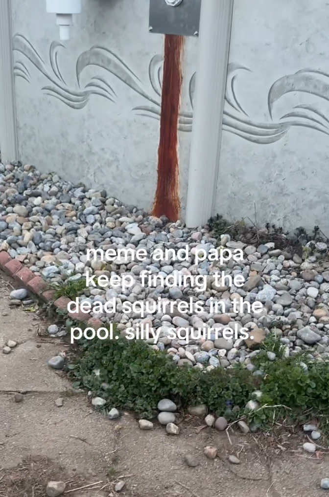 @⃟