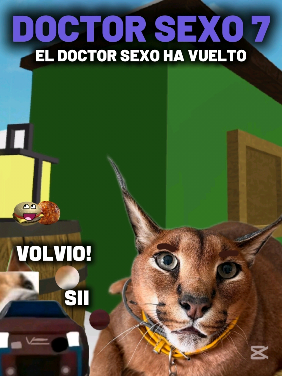 @TIGRITO EN MEMES