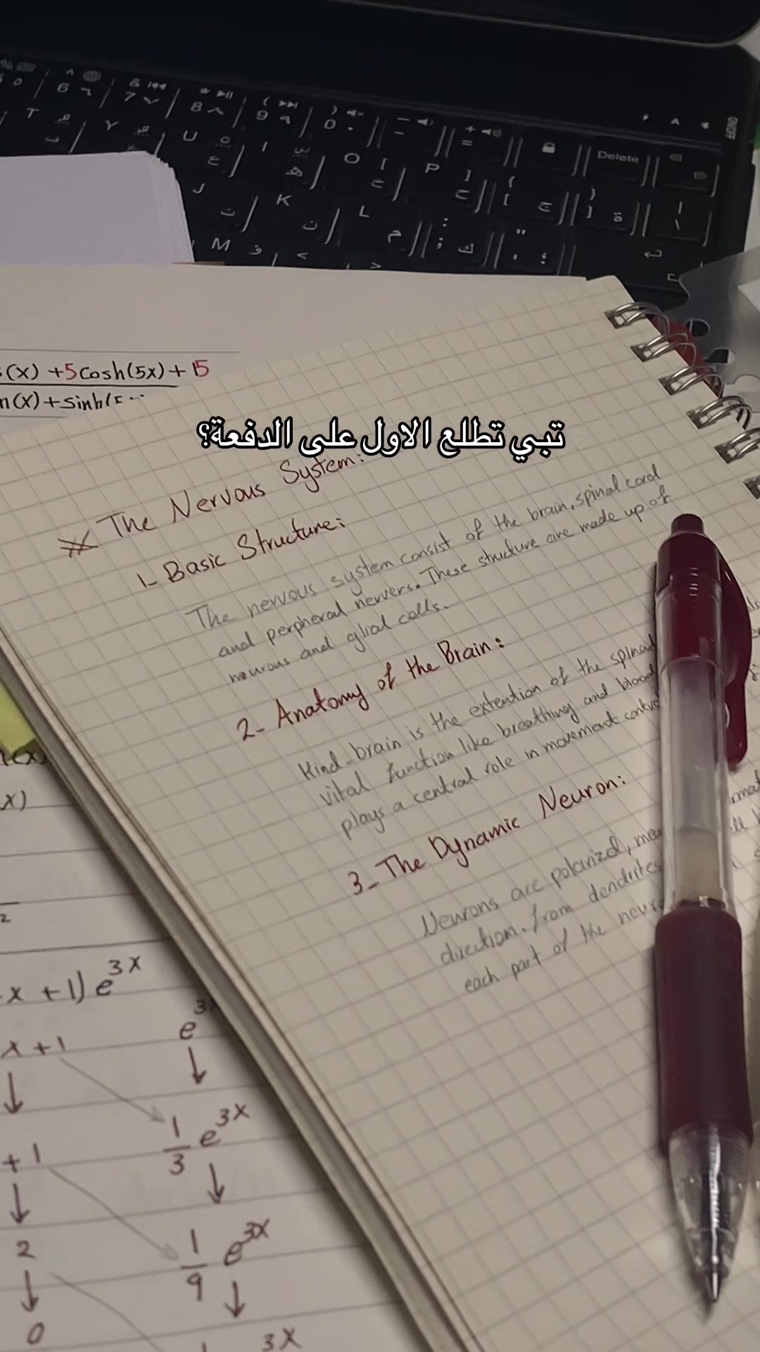 @Bites | بايتس 🪄