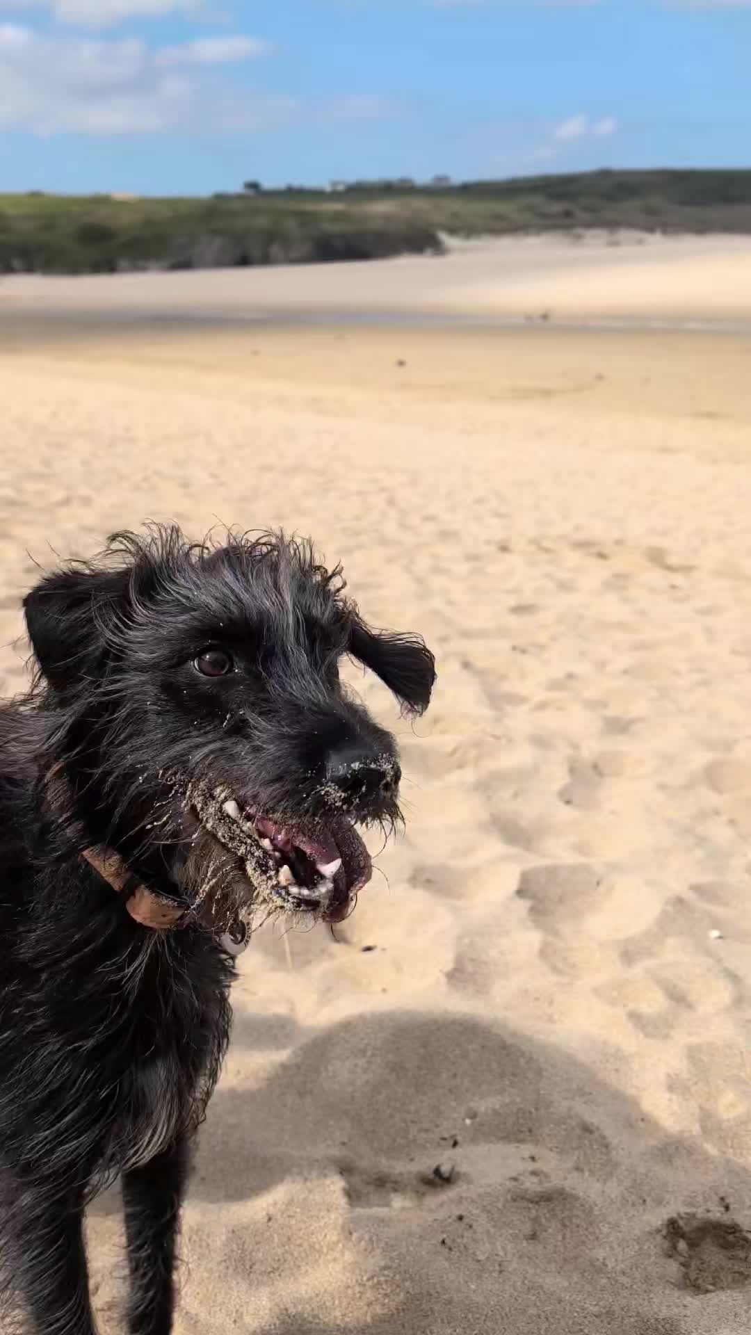@wander_woman_sus