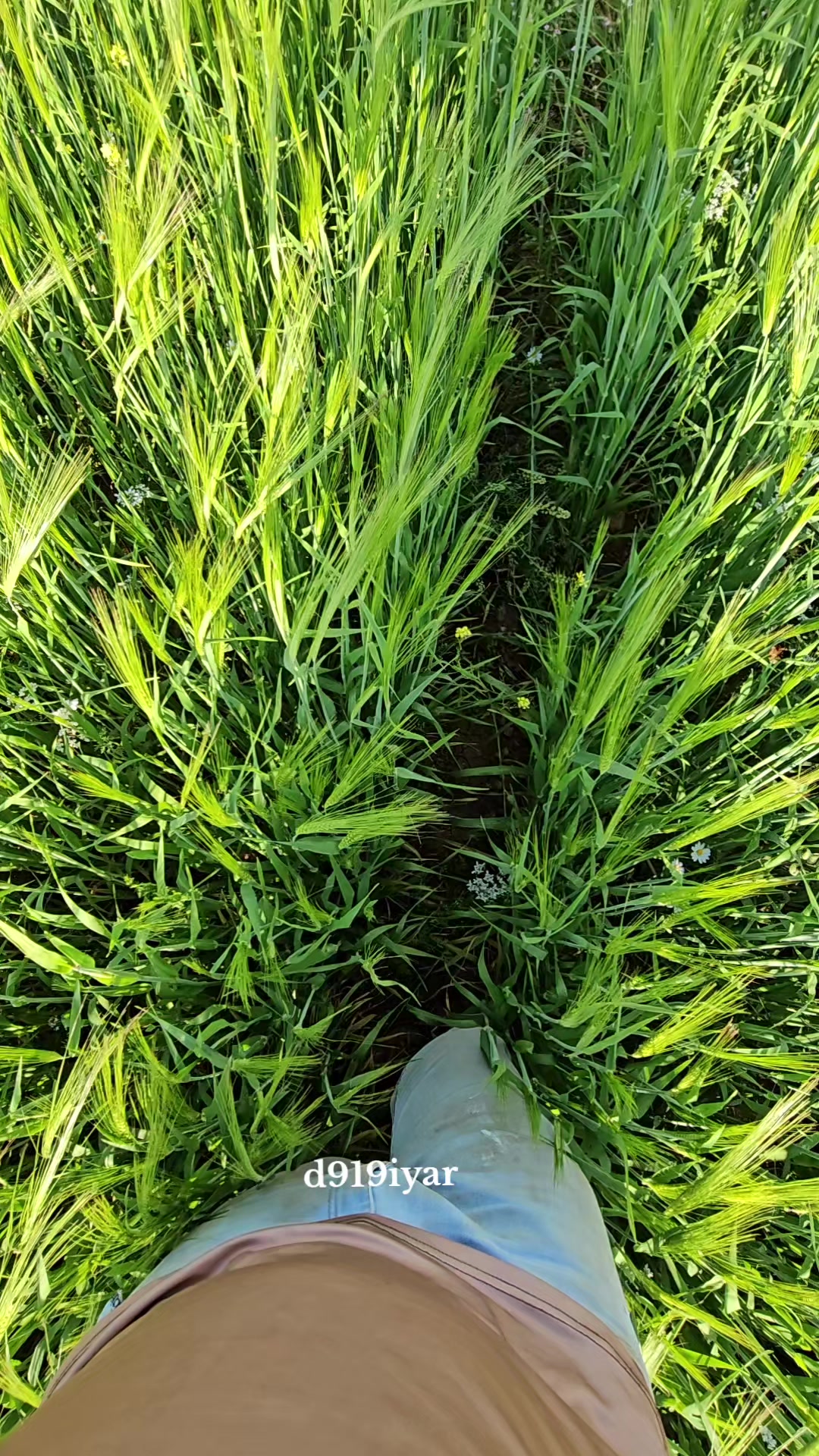 @ديار𝐝𝐢𝐲𝐚𝐫₉₁₉