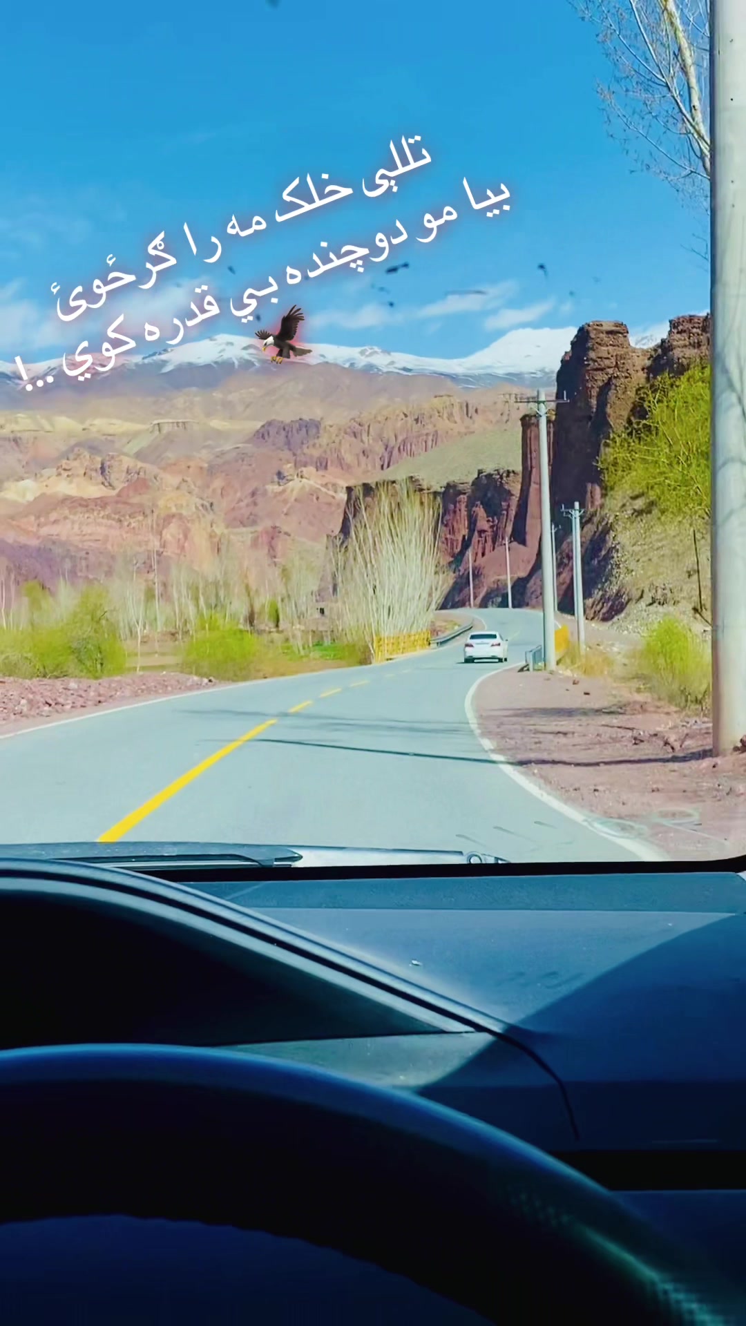 @الهام سلیمانخیل