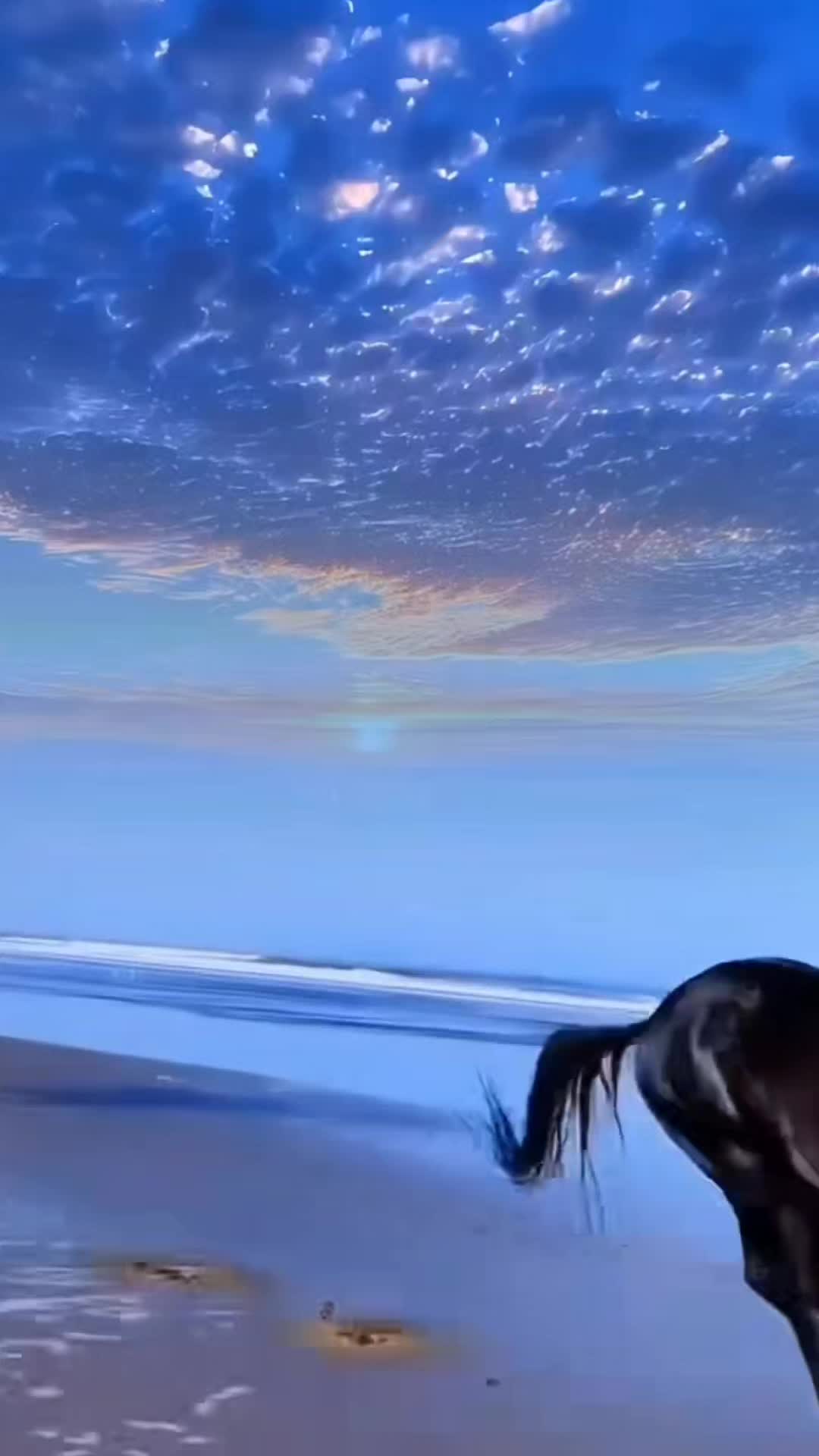 @maryamtanha12 🇦🇫🇦🇹