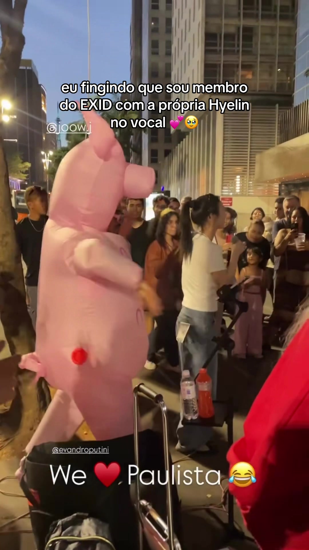@Porquinho da Paulista