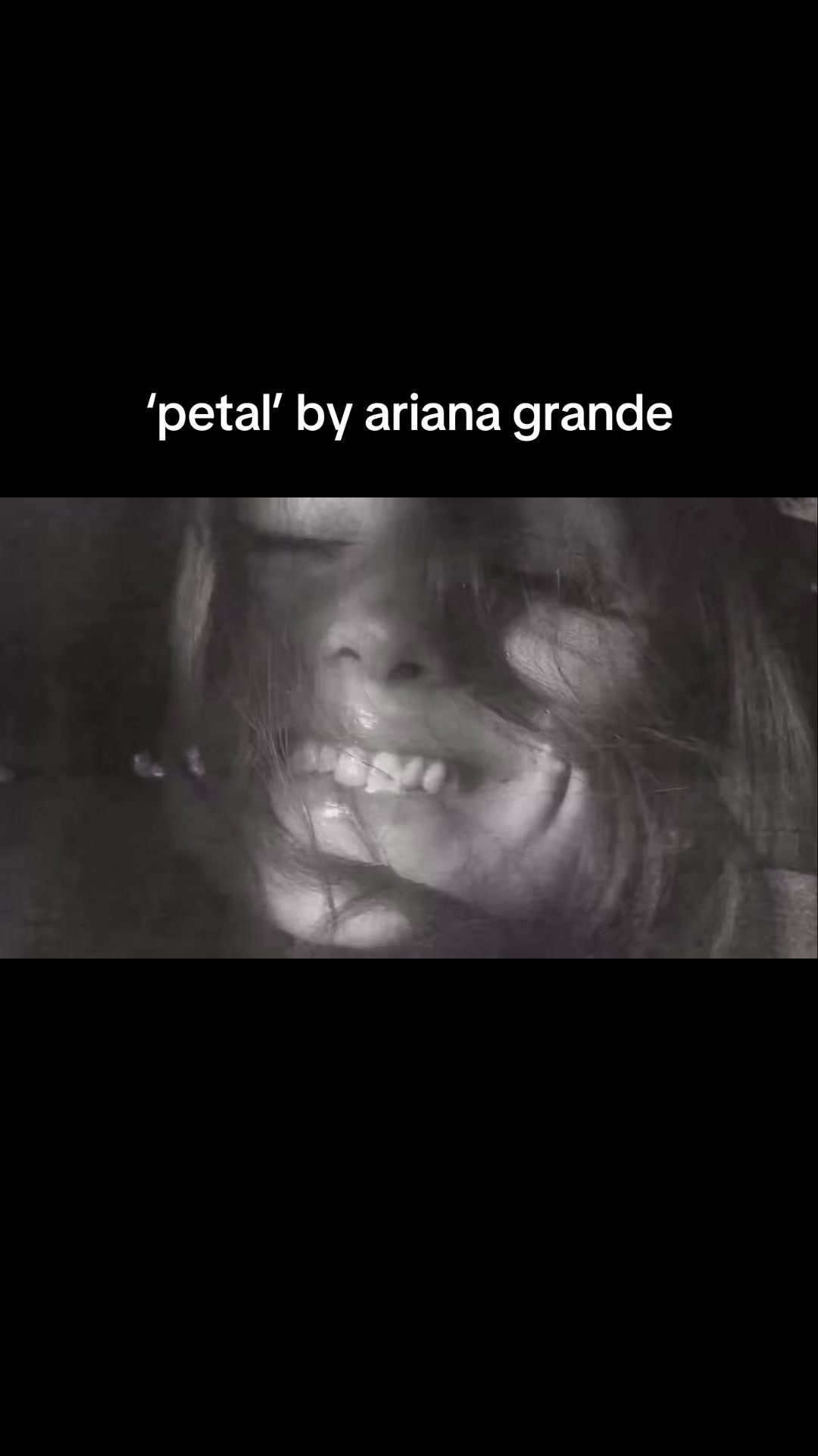 @ariana.my.mood ꕤ