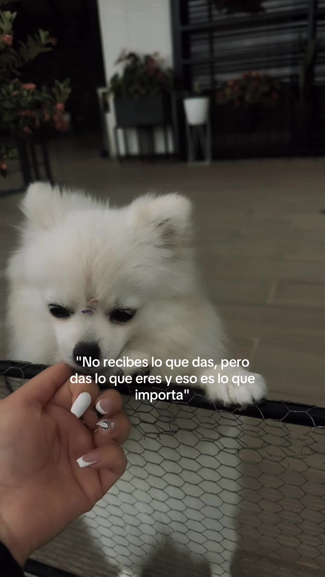 @Claudia