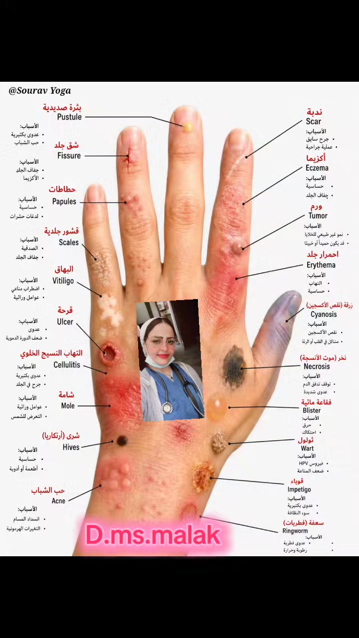 @D.ms.malak
