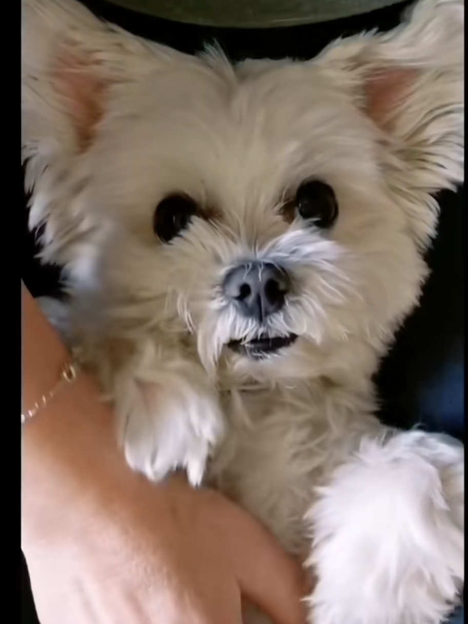 @Malteser Prinz Jerry