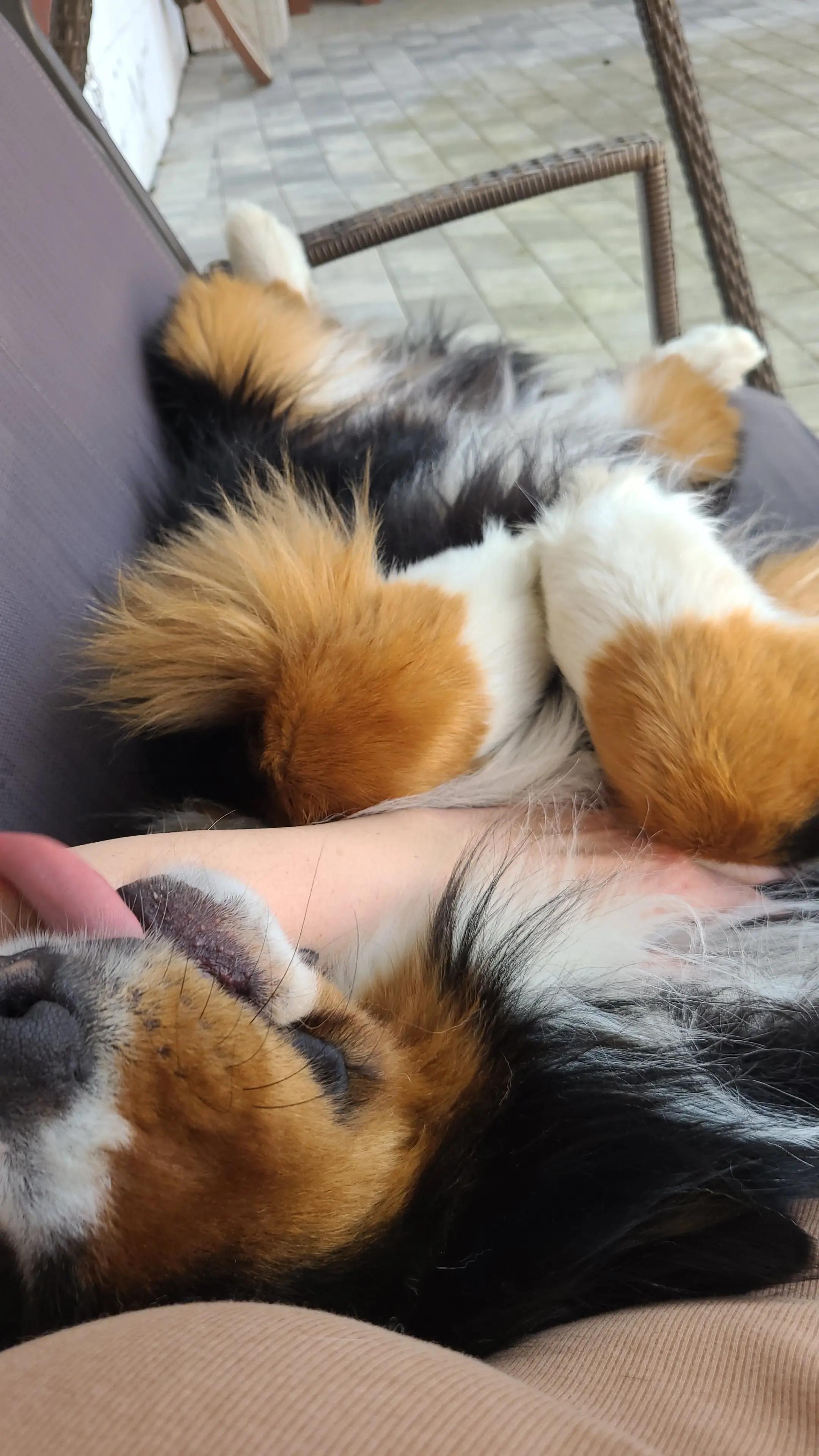 @berner.bruno