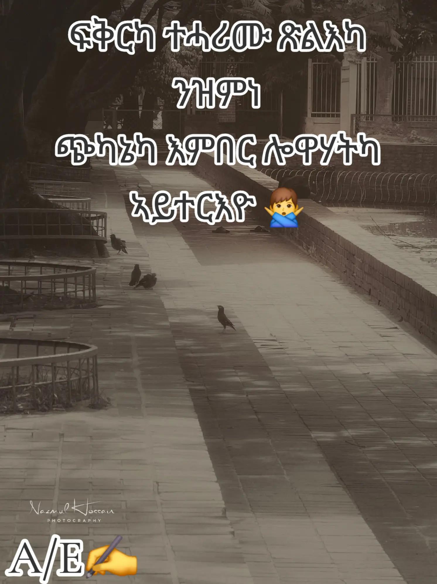 @ኣቢ ሊባናይ🇪🇷🌹🇳🇱&hearts;️💯💒✝️✅
