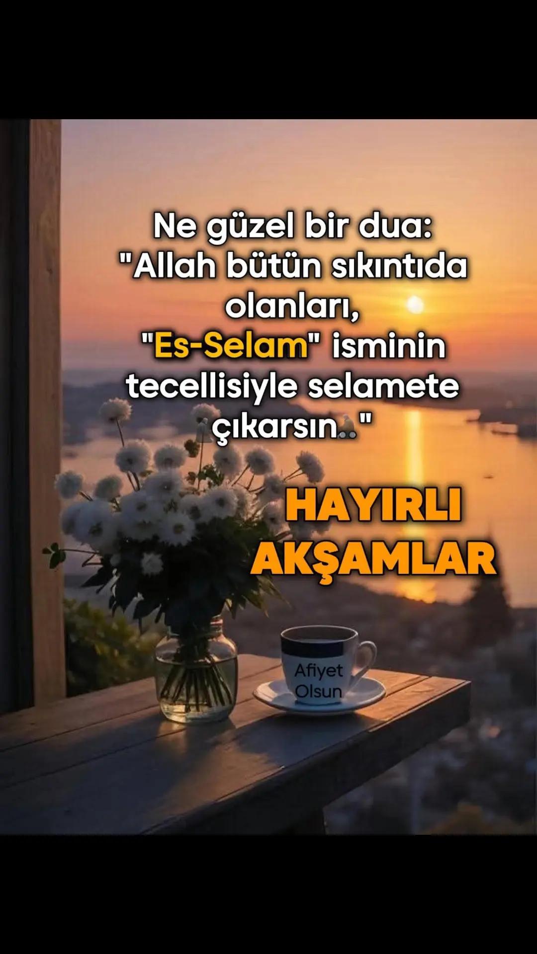 @Raziye Erim