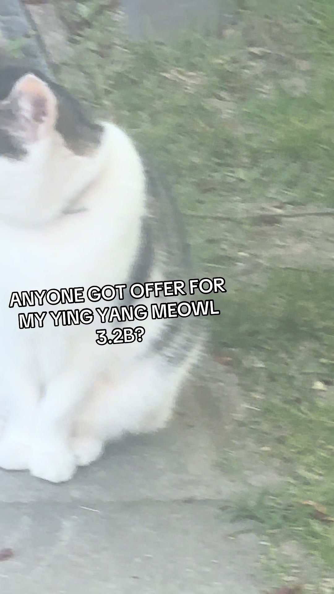 @Sag TRADE and PVP