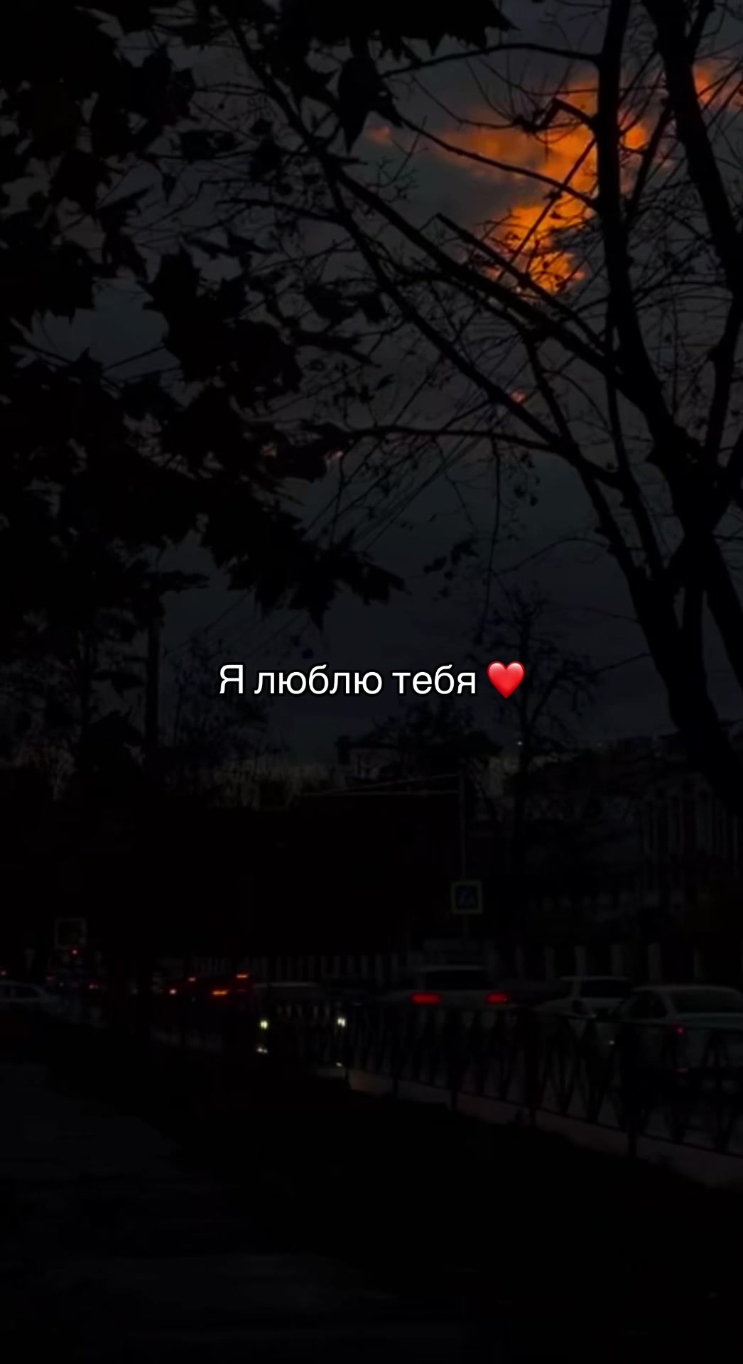 @🦇mindsnaps666🦇