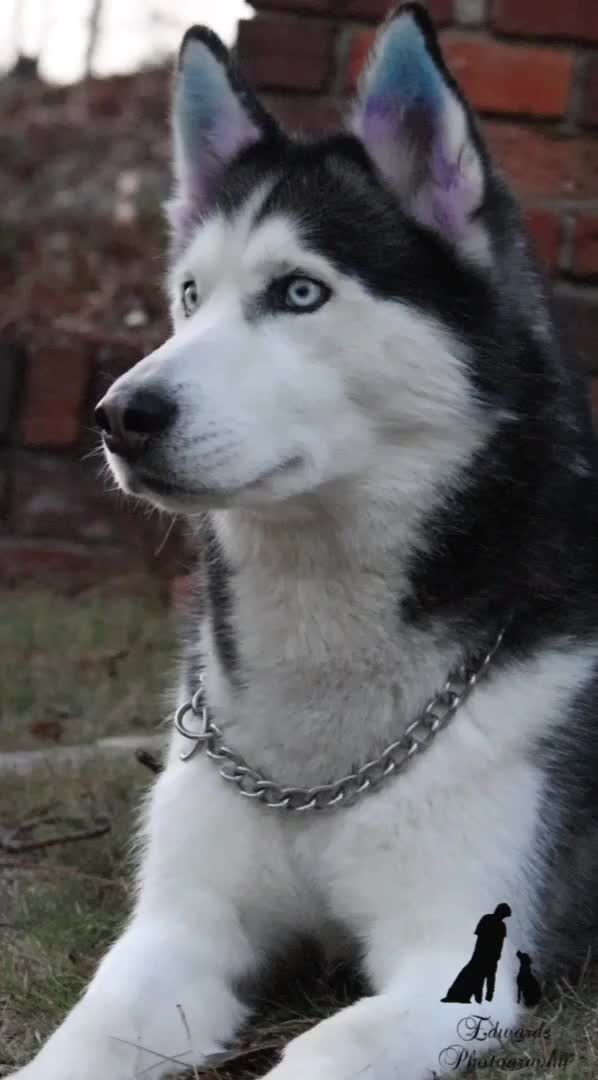 @Jasper Edwards