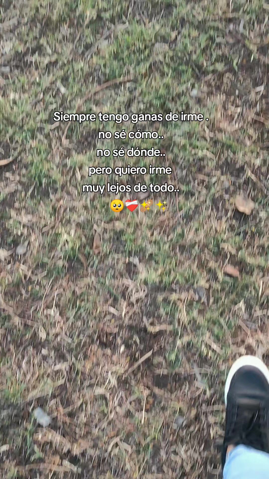 @Sagitario14❤️