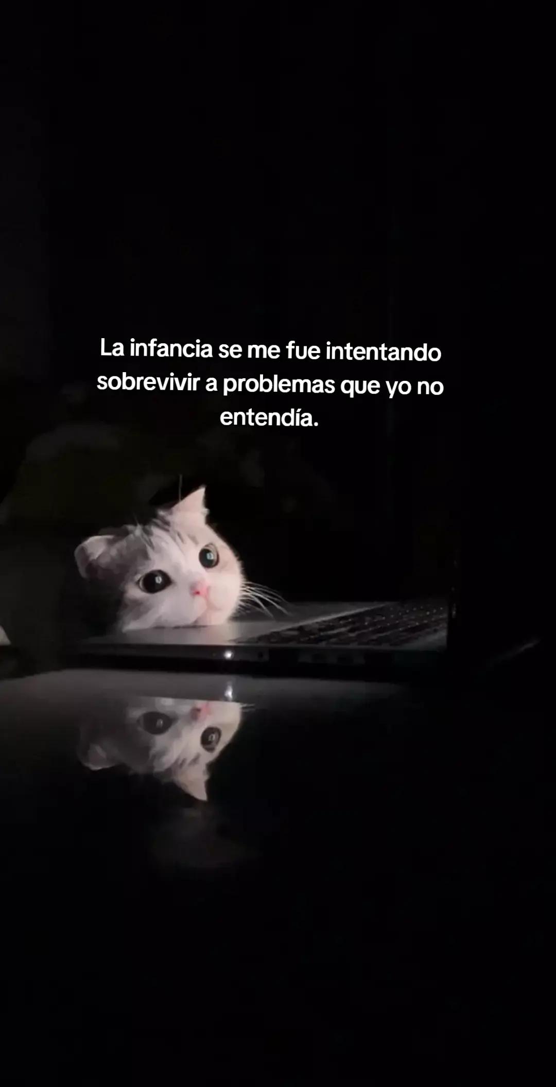 @ɪᴍᴘᴇʀꜰᴇᴄᴛᴏᴳᵀ࣪