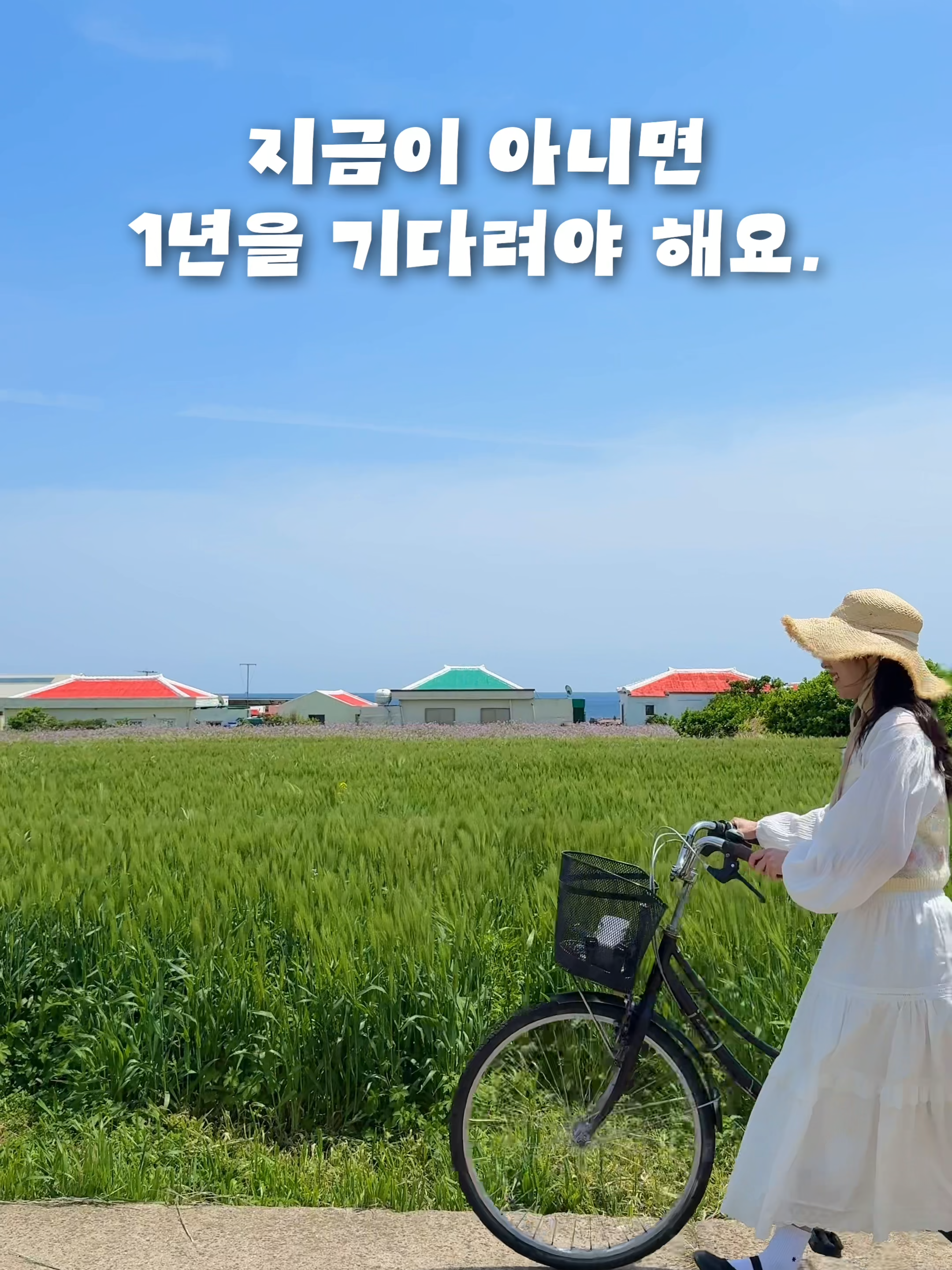 @제주도