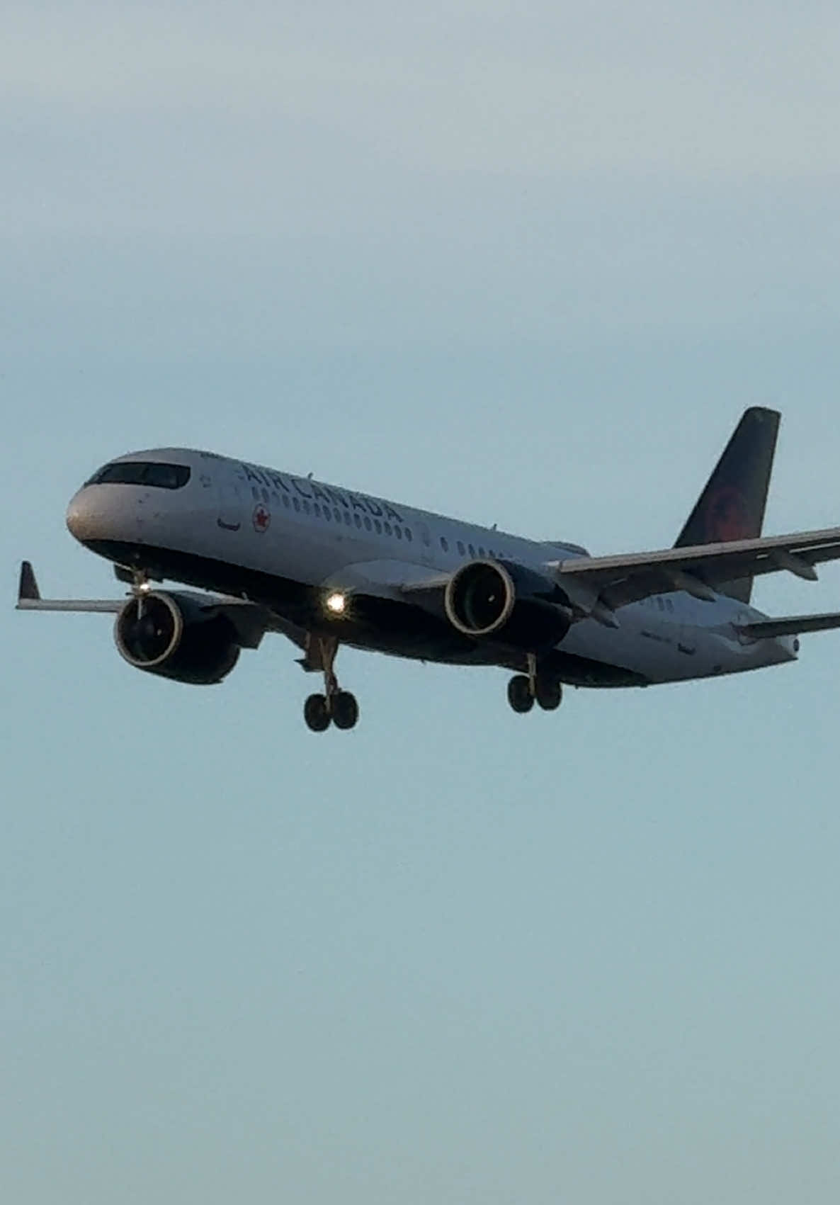 @Toronto Aviation