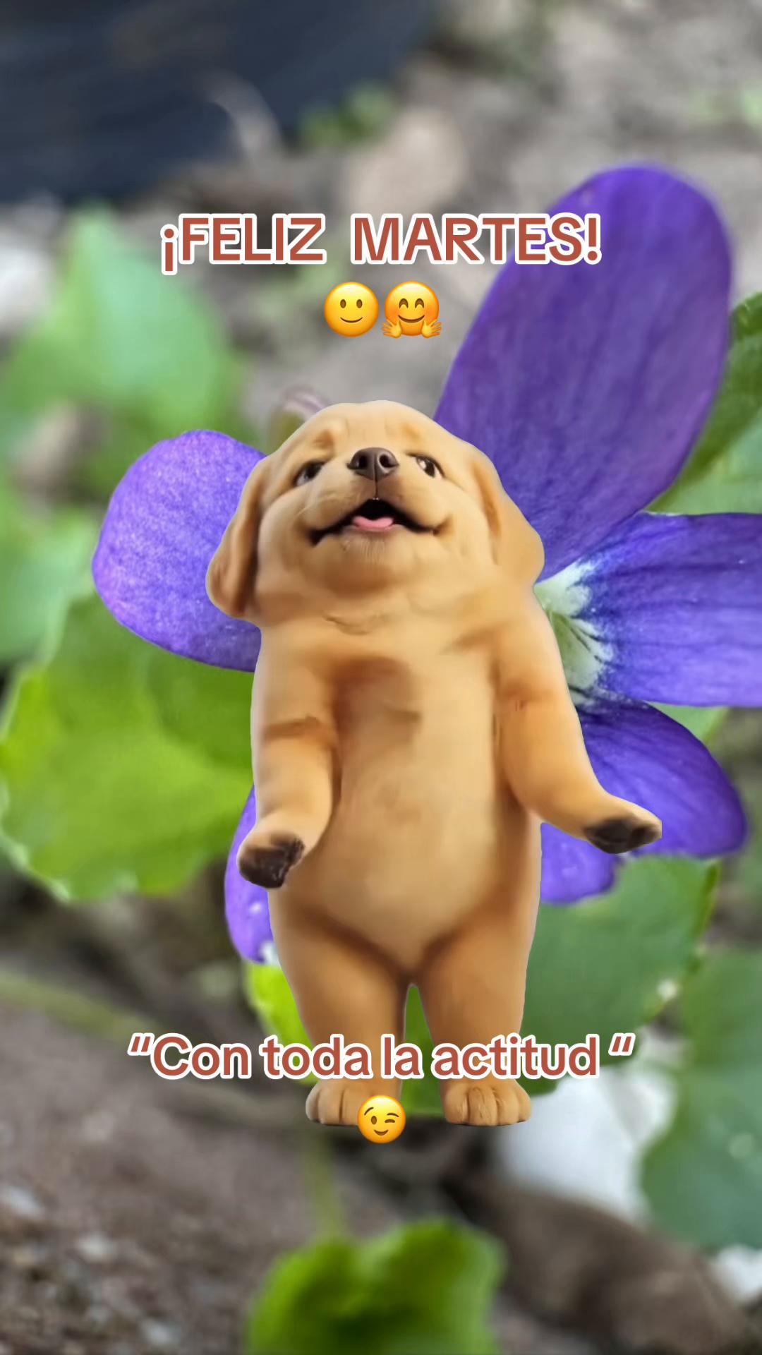 @🐾✨SNELBOY😻😽😸😸😸🐕🐕🧡✨