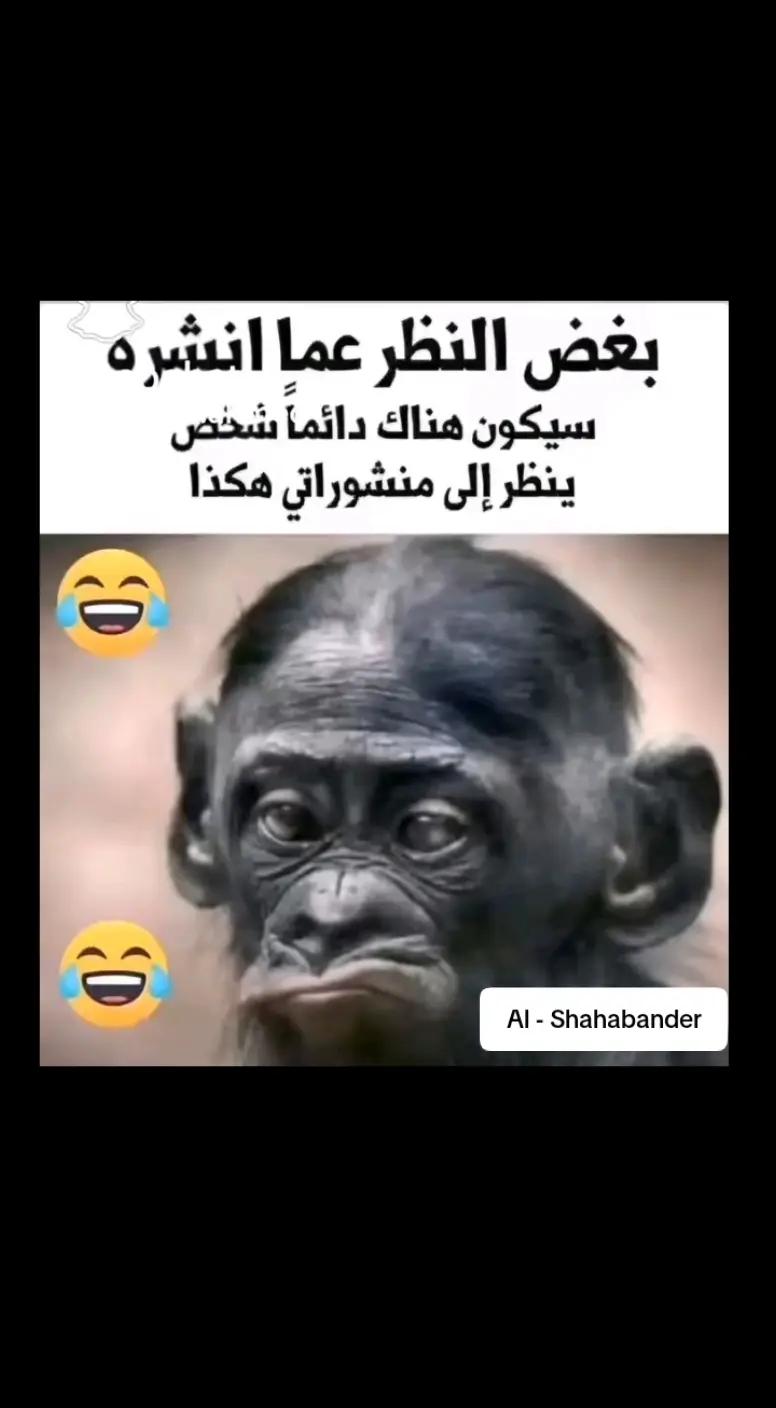 @Georges yousef